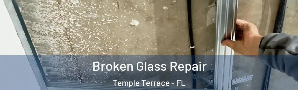  Broken Glass Repair Temple Terrace - FL