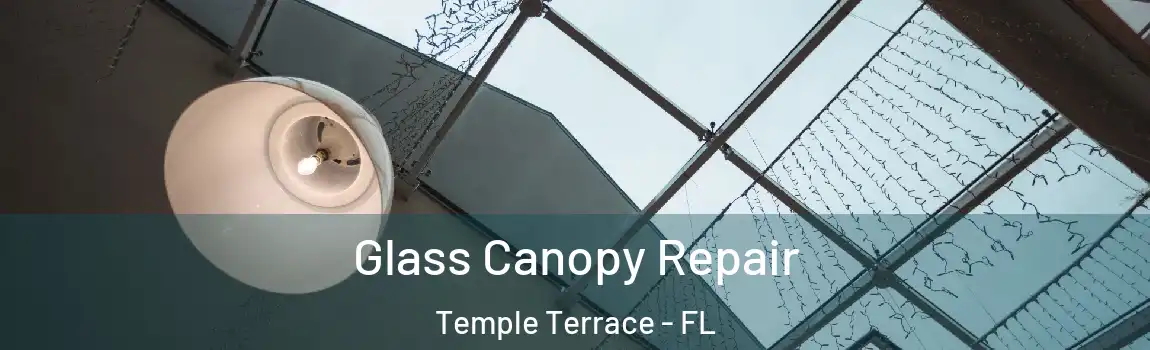  Glass Canopy Repair Temple Terrace - FL