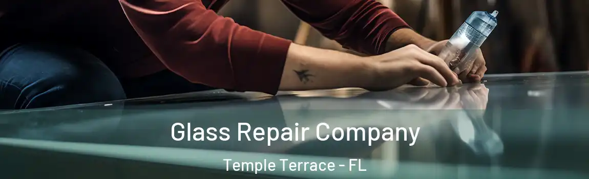  Glass Repair Company Temple Terrace - FL