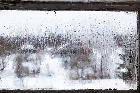Defogging Double Pane Windows in Temple Terrace, FL